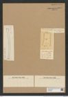 Actinella punctata Lew. (de-Toni-Nr.: Genus 108, Species 3273) Zeichnungen Sammlung Grunow Nr. 6671 (NHMW-BOT-W0375456)